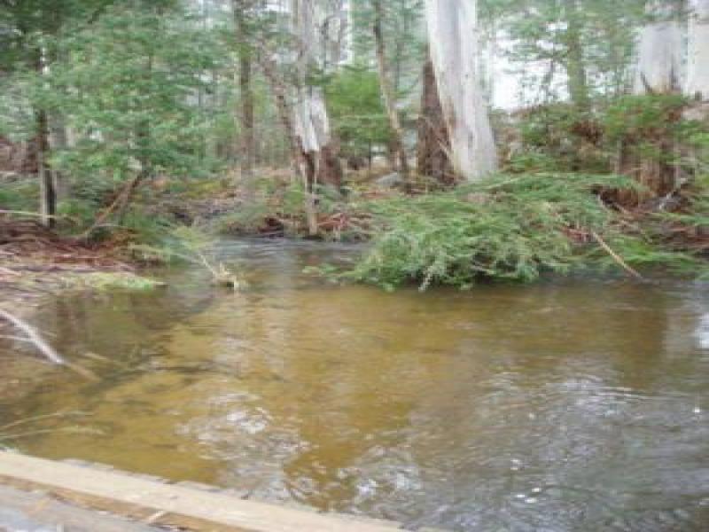 Upstream