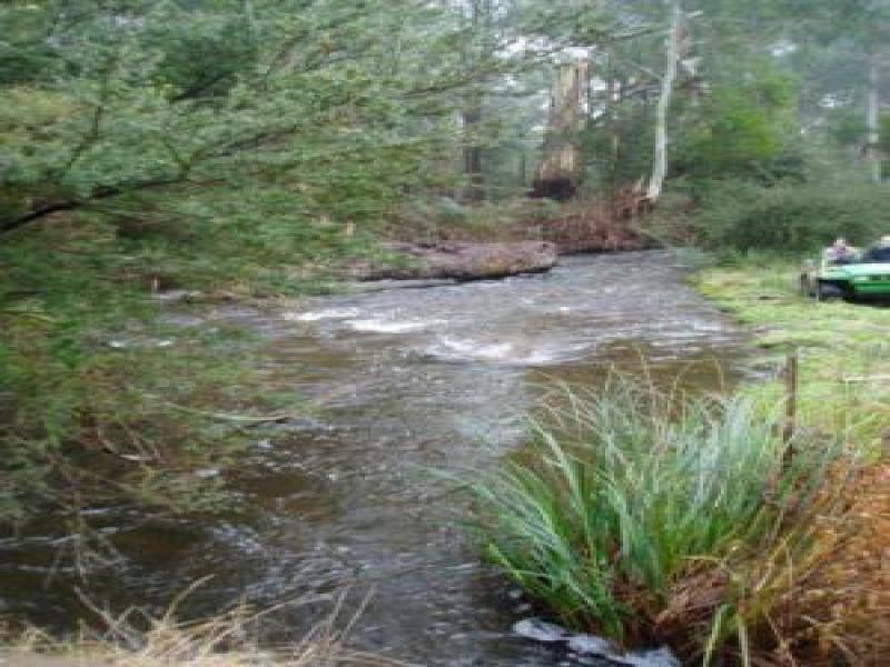 Downstream