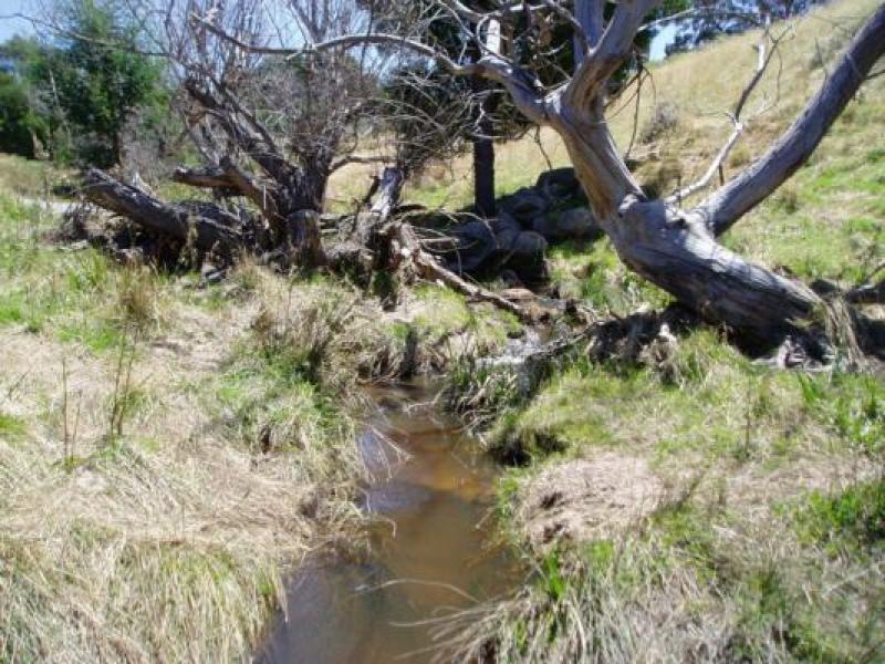 Upstream