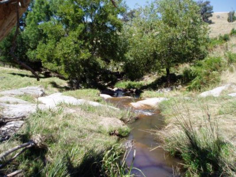 Downstream