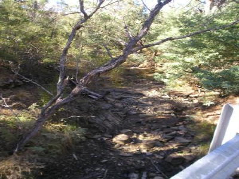 Upstream