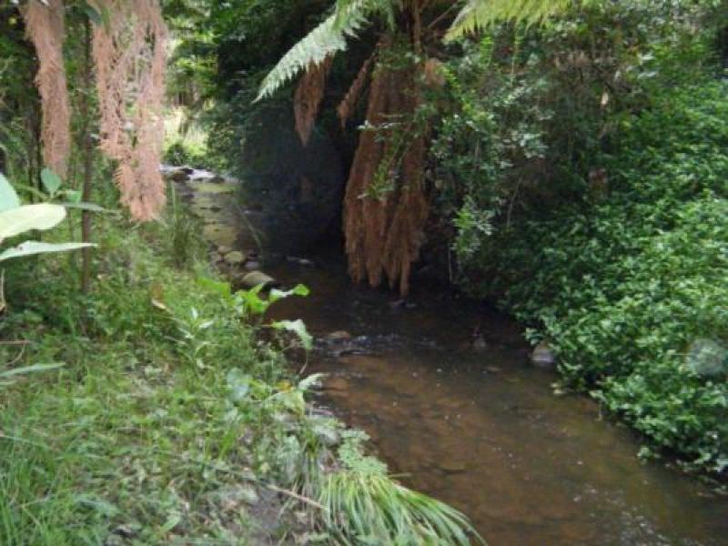 Upstream