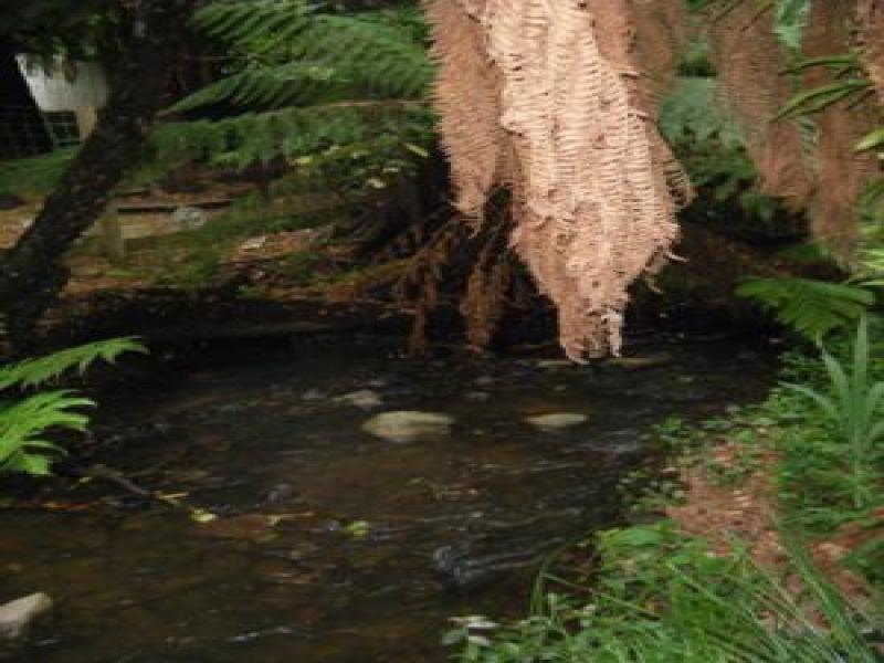 Downstream