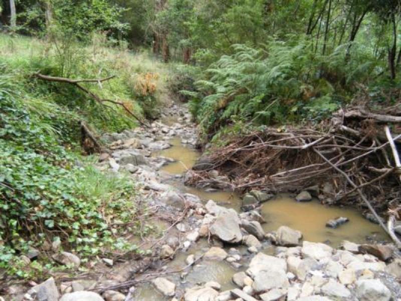 Downstream