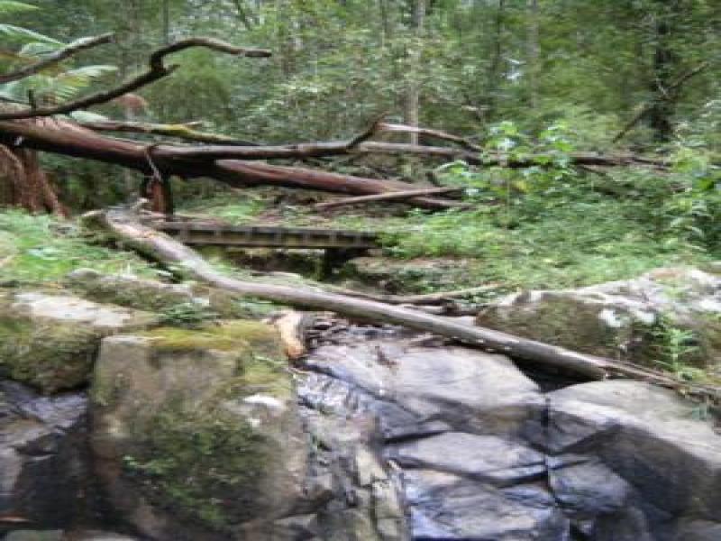Upstream