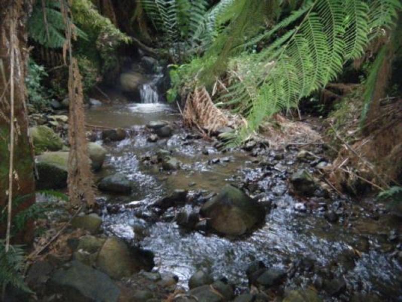 Upstream