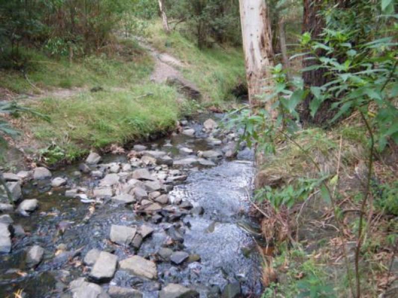 Downstream