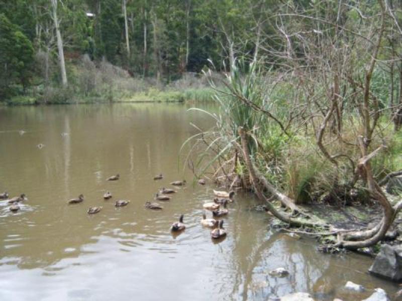 Upstream