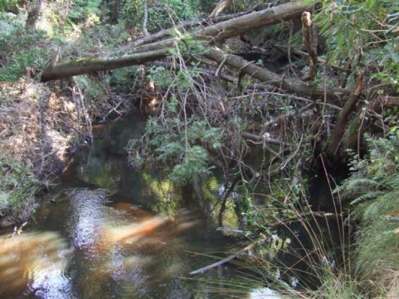Upstream
