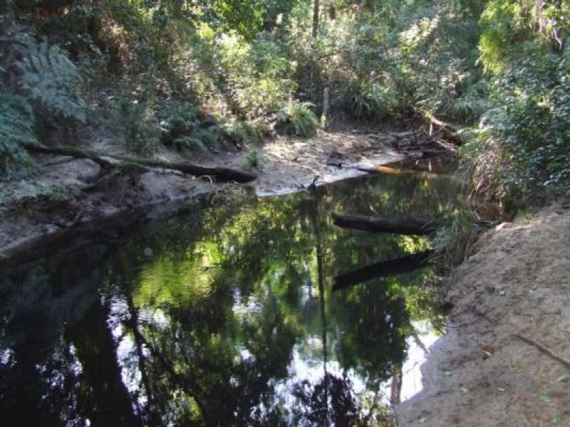 Upstream
