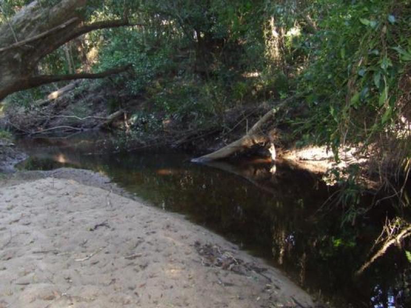 Downstream
