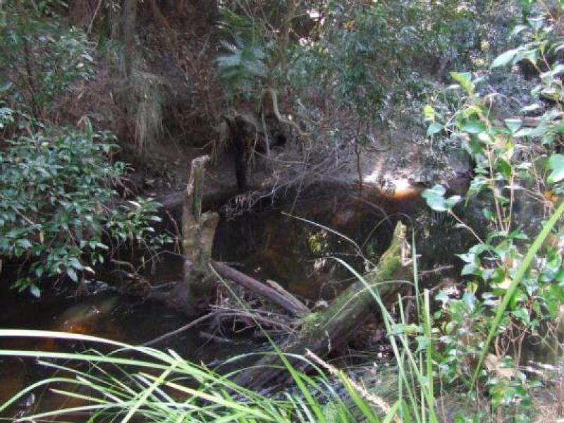 Upstream