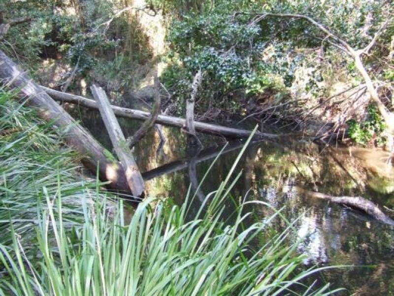 Downstream