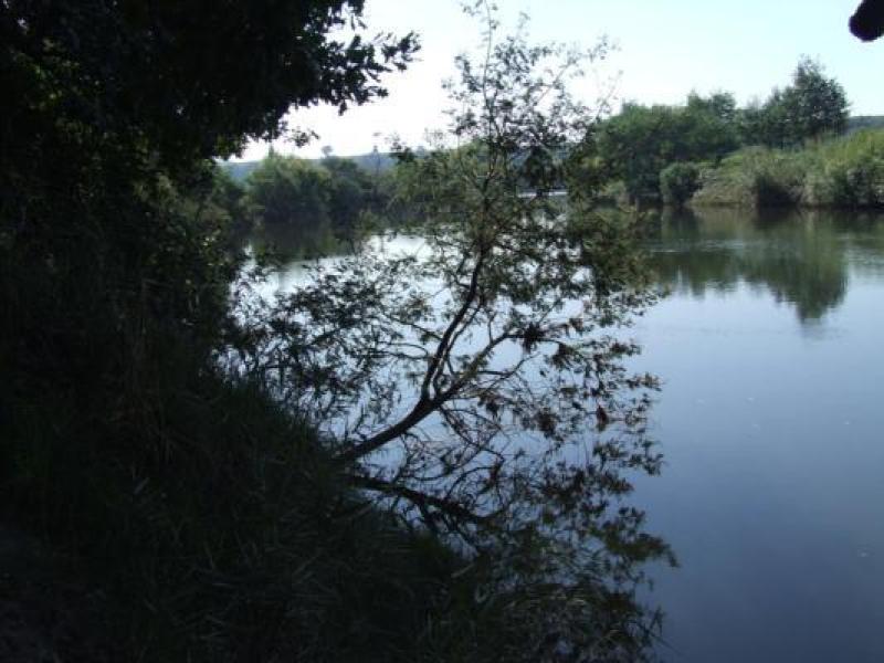 Upstream