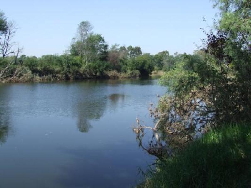 Downstream