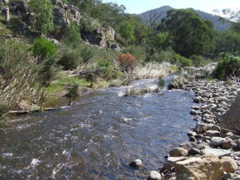 Downstream
