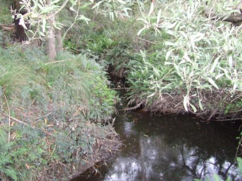 Downstream