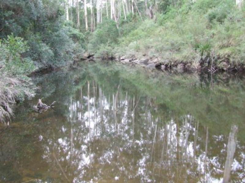 Upstream