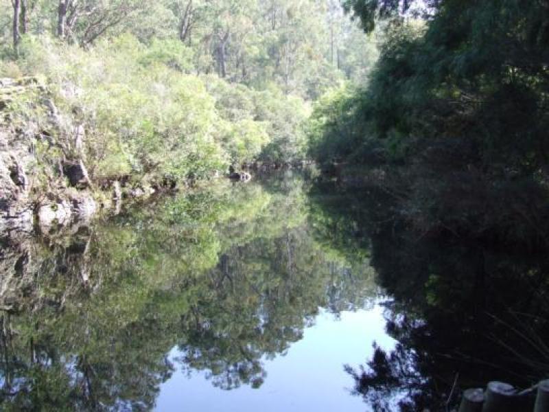 Downstream