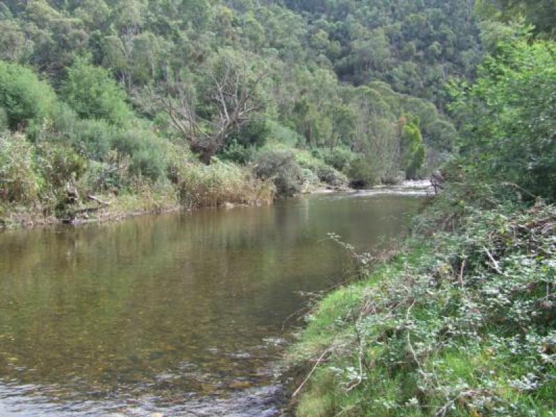 Upstream