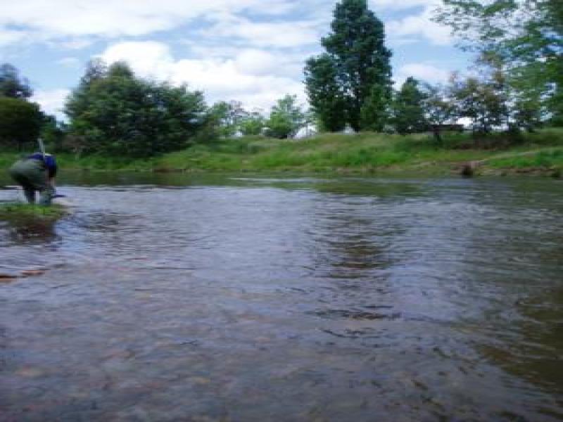 Upstream
