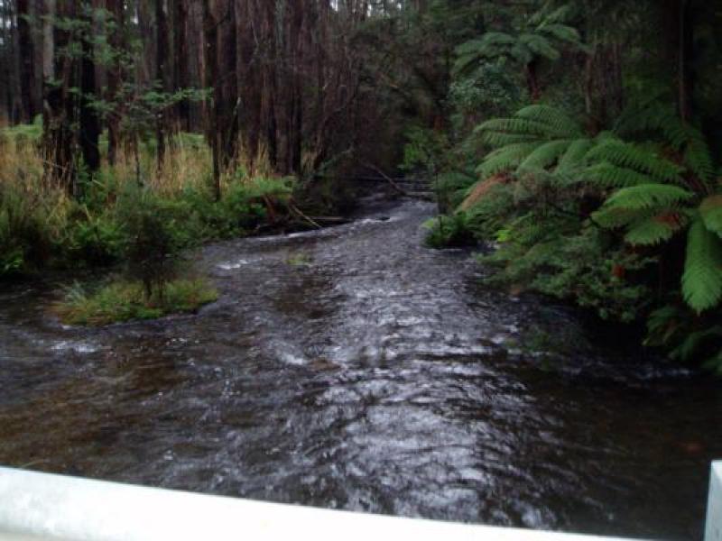 Downstream