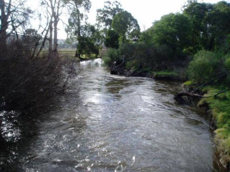 Downstream