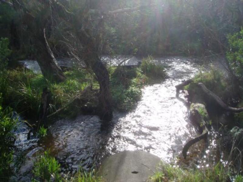 Downstream