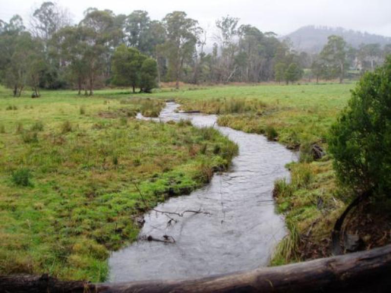 Upstream