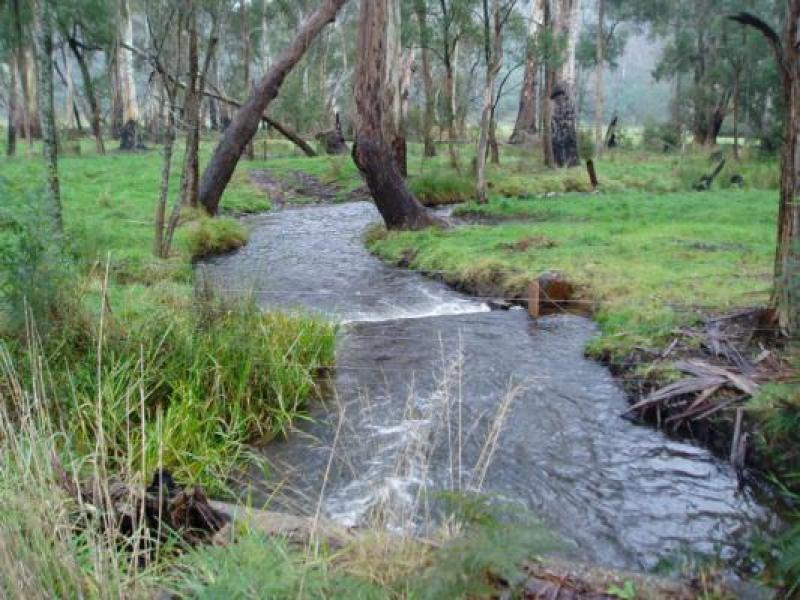 Downstream