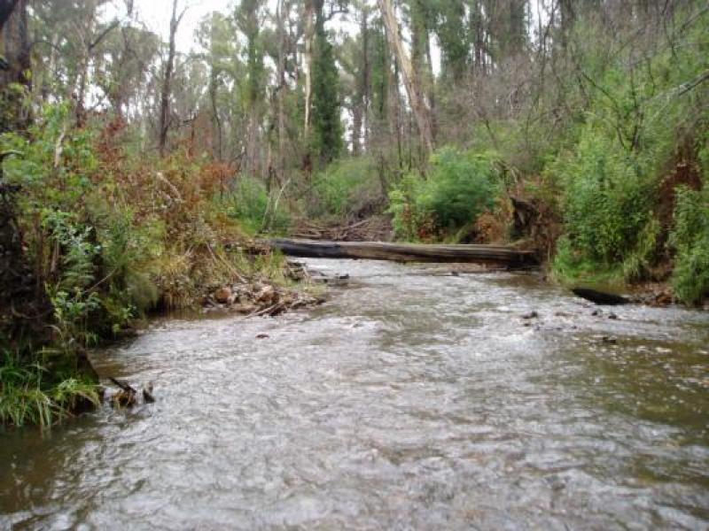 Upstream