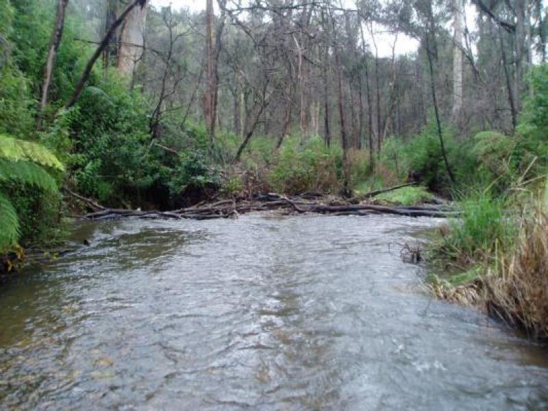 Downstream