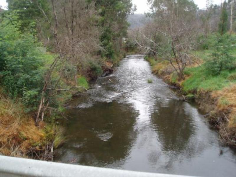 Downstream