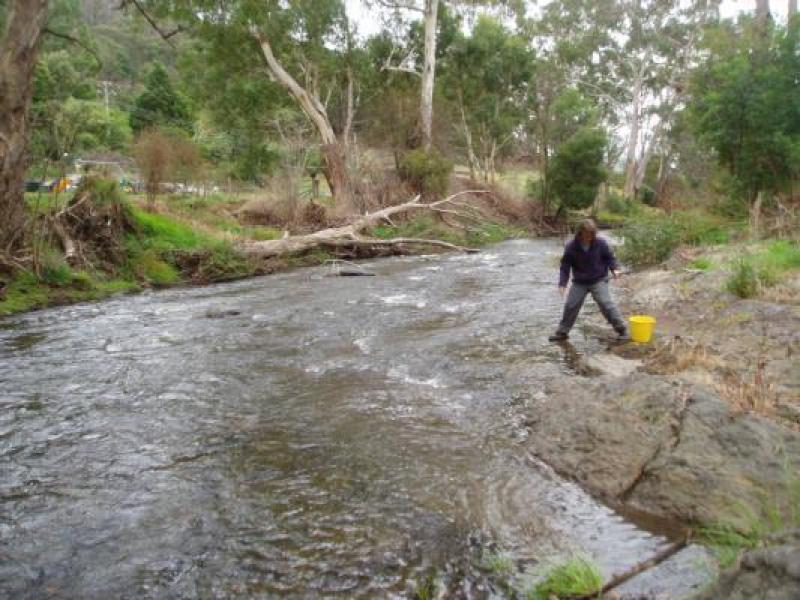 Downstream