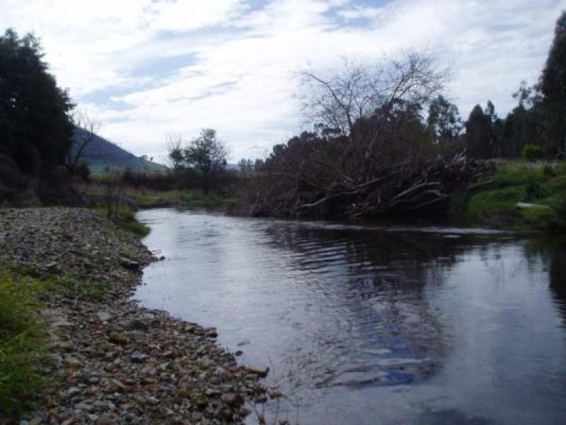 Downstream