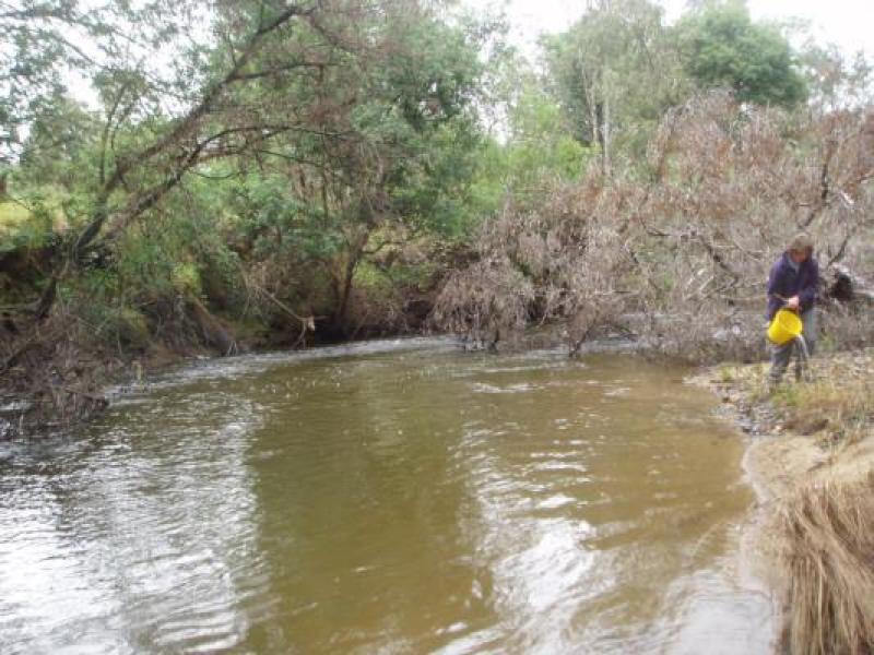 Upstream