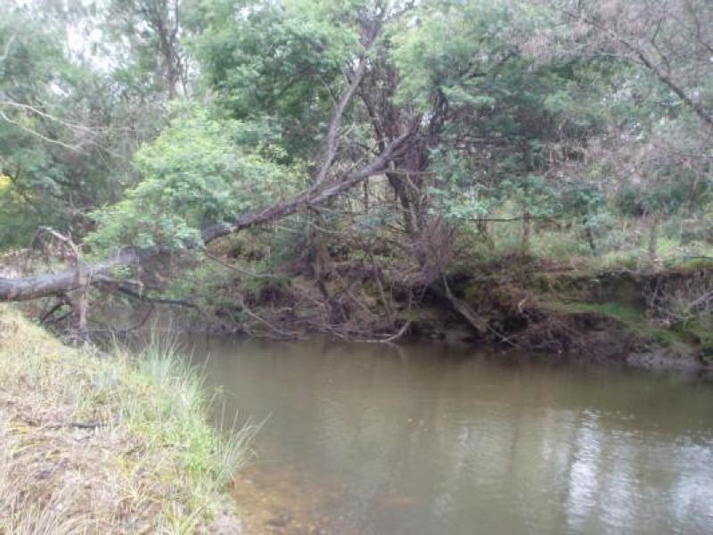 Downstream
