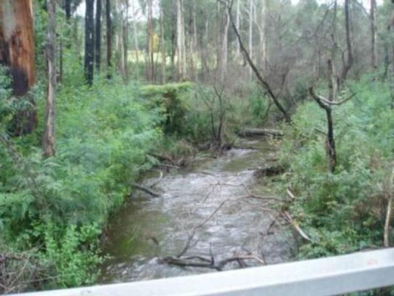 Upstream