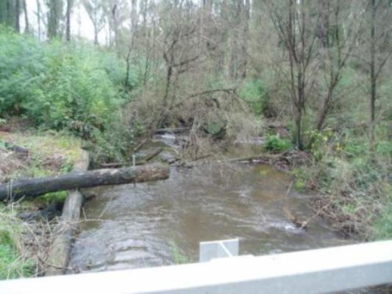 Downstream