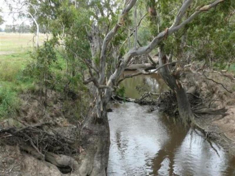 Upstream