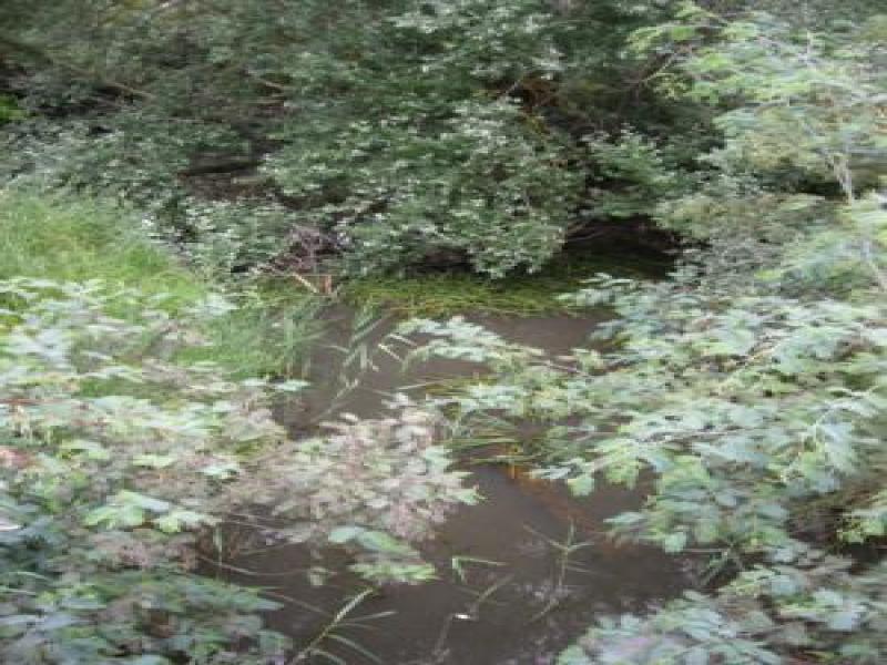 Upstream