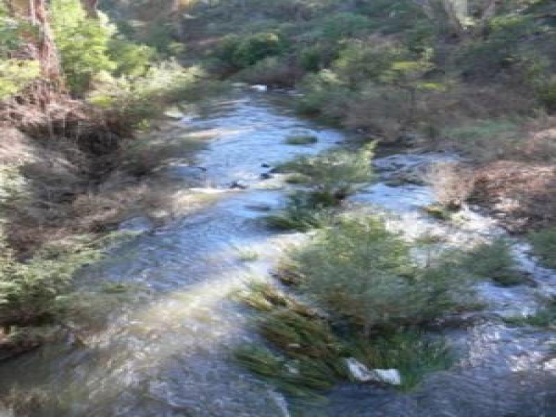 Downstream