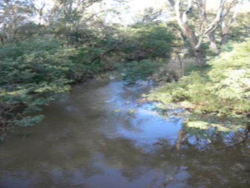 Upstream