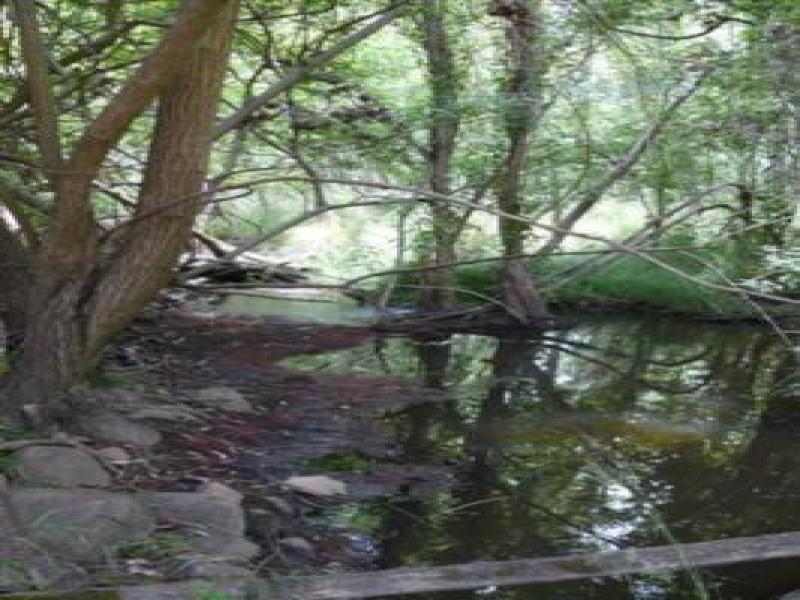 Upstream