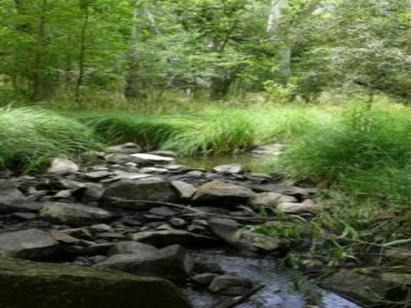Upstream