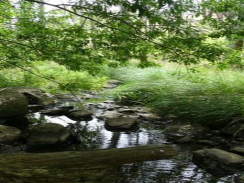 Downstream