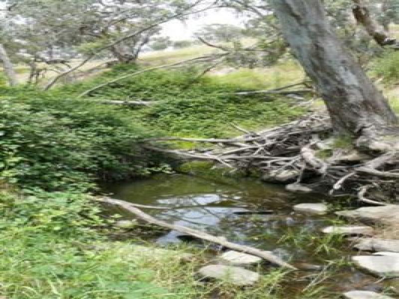 Upstream