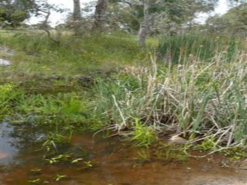 Upstream