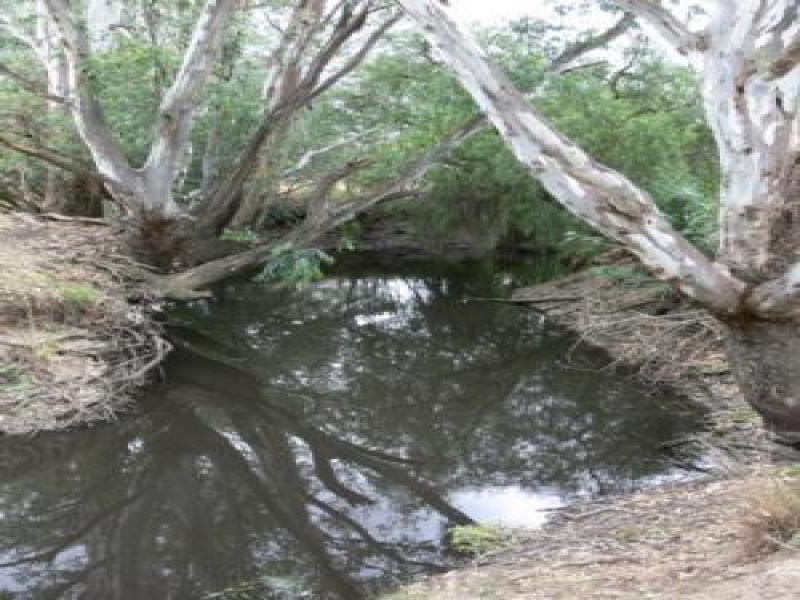 Downstream