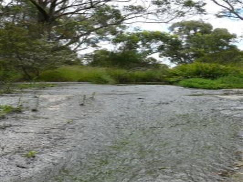 Upstream